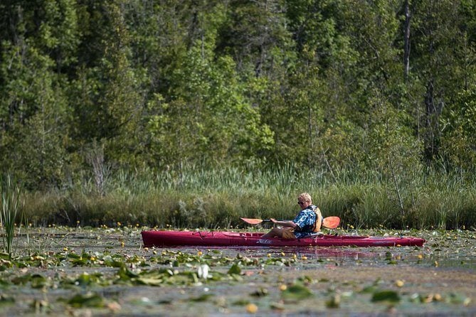 Door County Wetlands