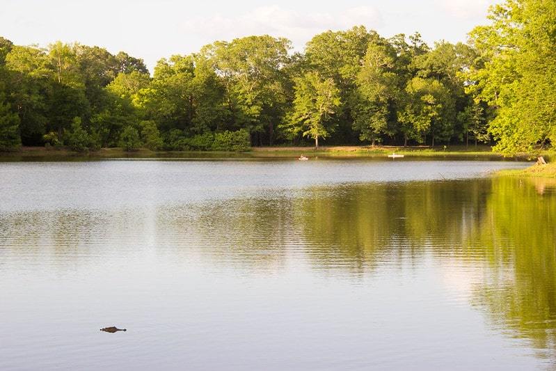 LeFleur's Bluff State Park