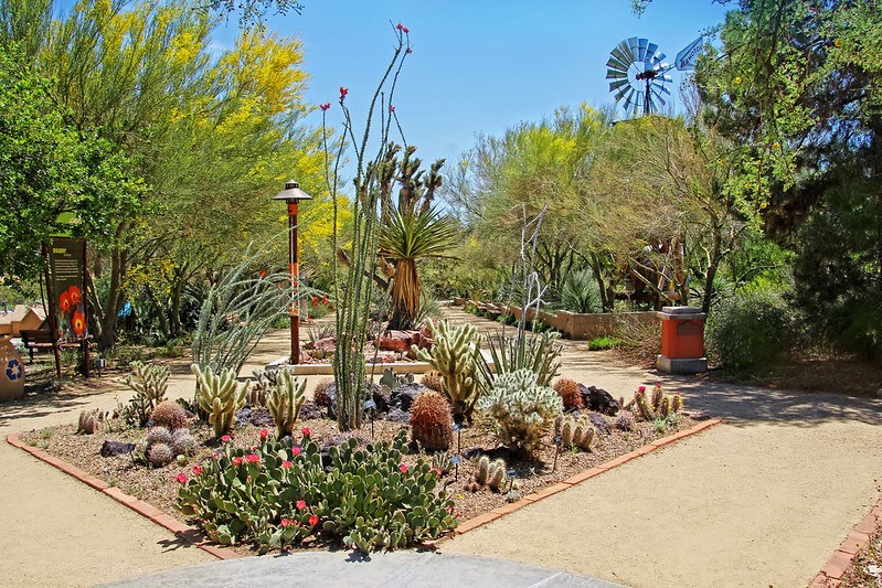 Springs Preserve Botanical Garden