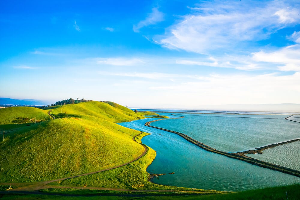 Coyote Hills Regional Park