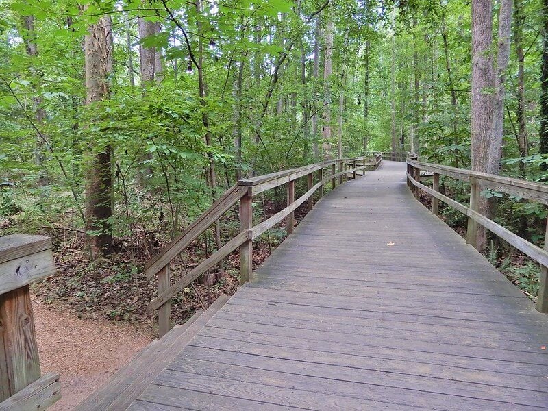 Bog Garden at Benjamin Park, Greensboro