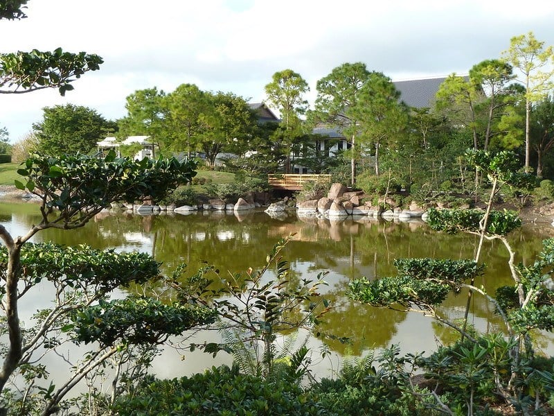 Japanese garden