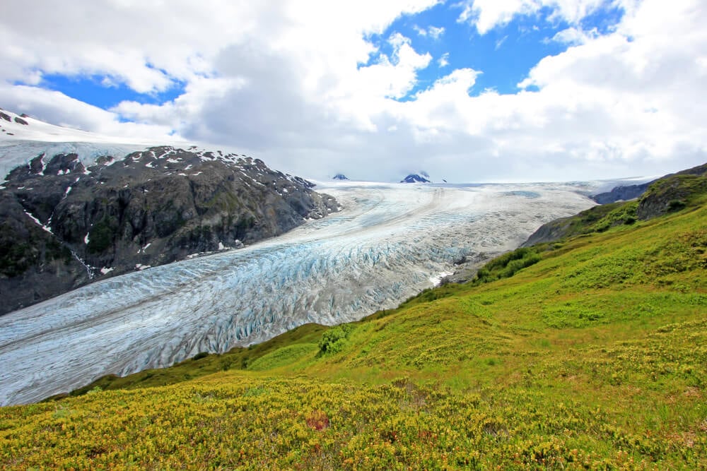 Kenai Fjords Anchorage