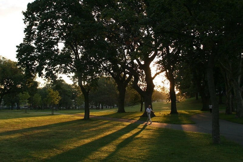 Lincoln Park