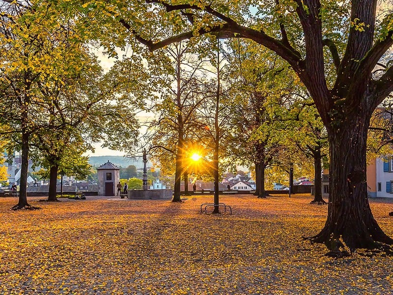 Things to do in Zurich: Lindenhof