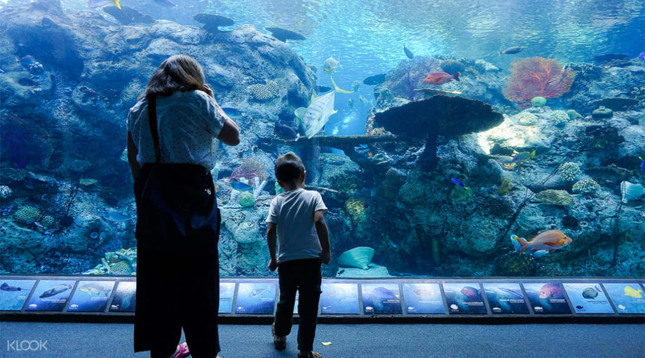 Aquarium of the Pacific, Long Beach, California