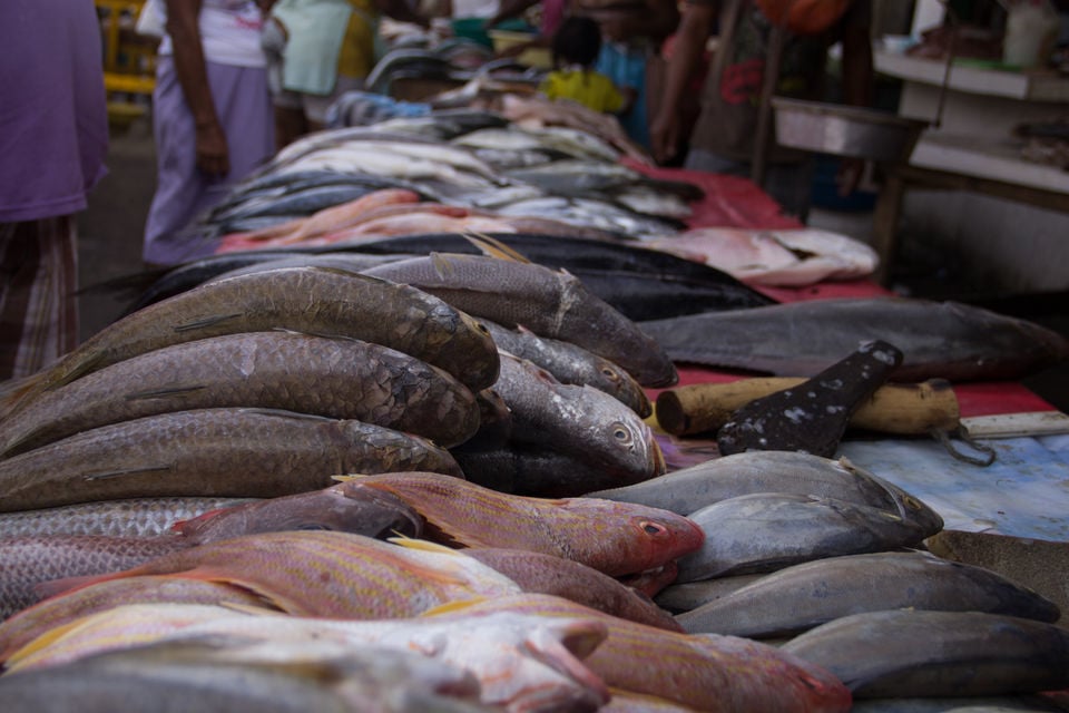 Mercado de Bazurto