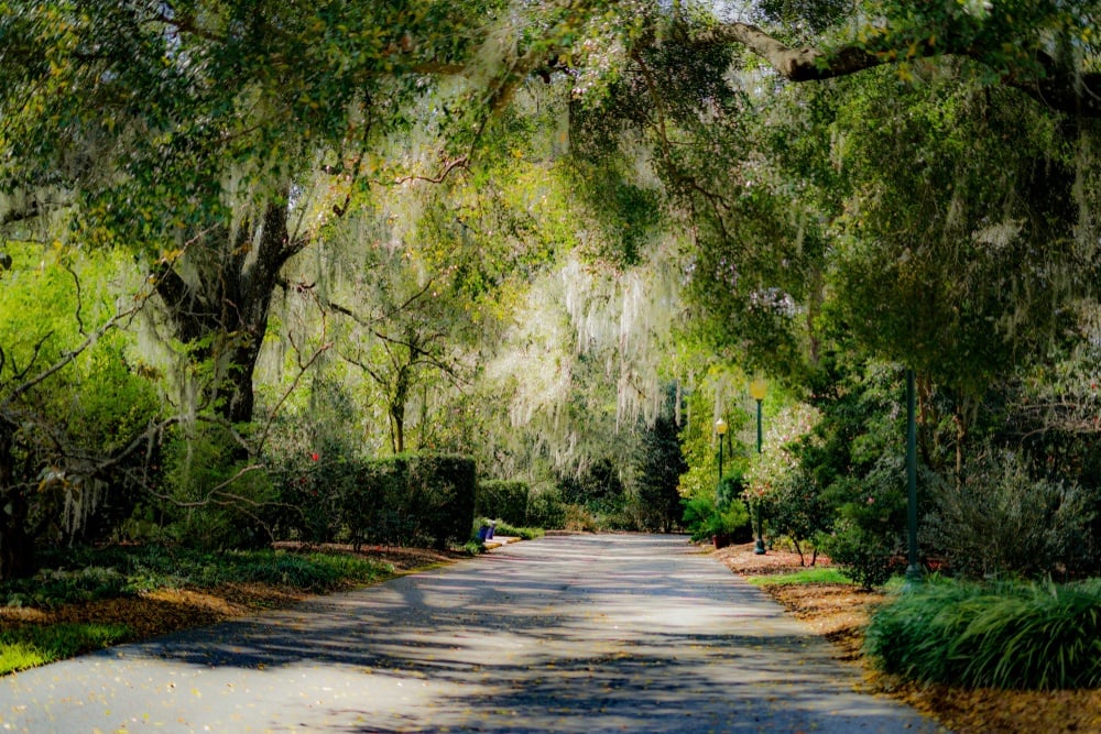 Harry P. Leu Gardens, Orlando