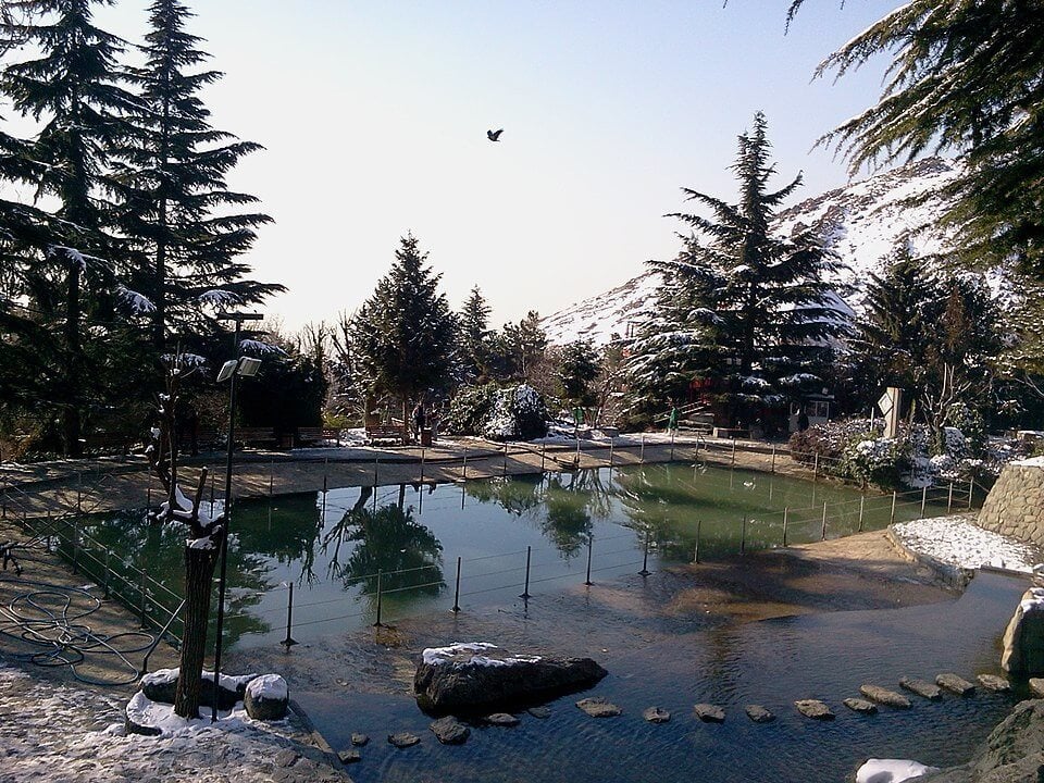 Park e Jamshidieh