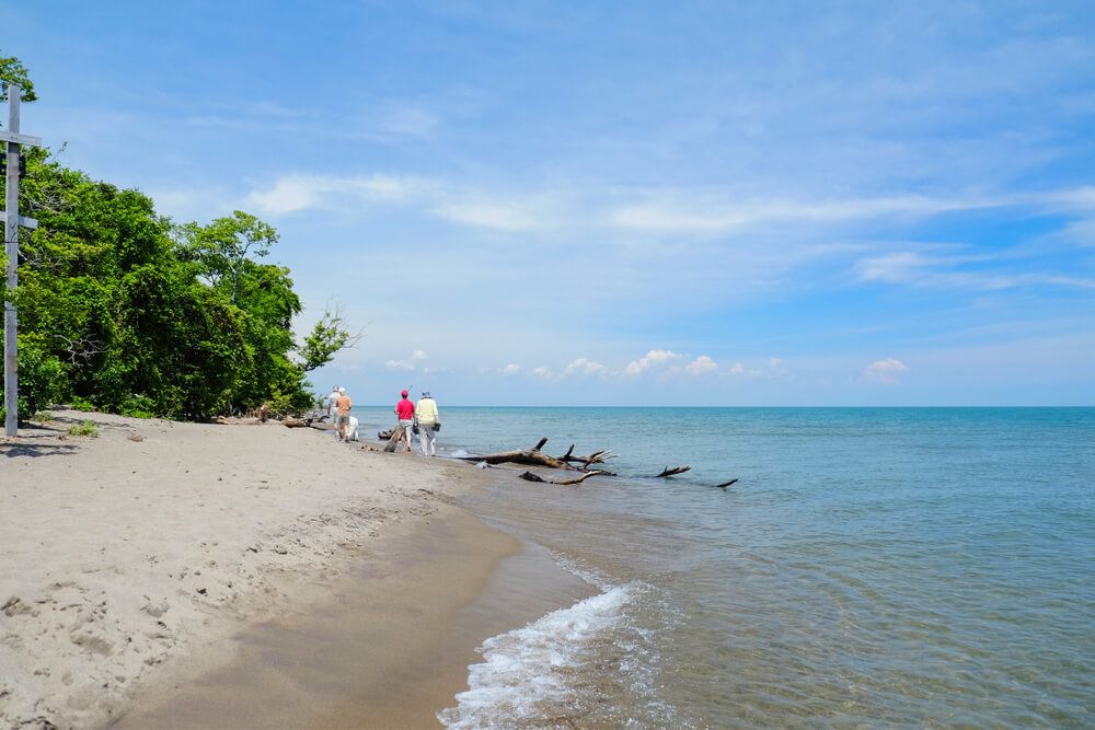 Pelee Island