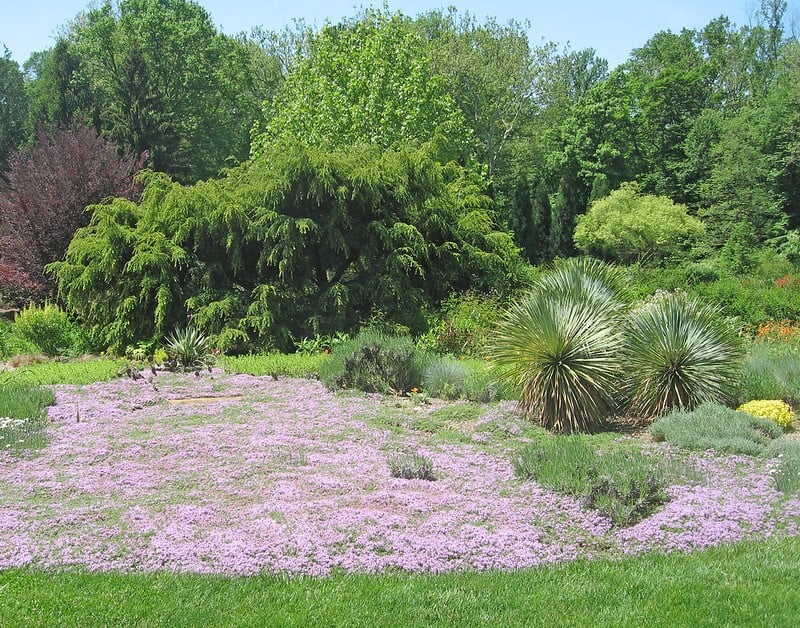 Chanticleer Gardens, Philadelphia