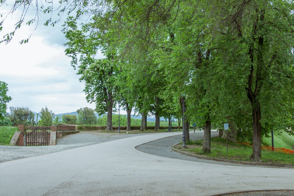 Pisa City Park