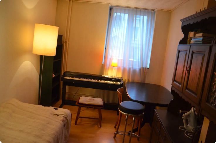 Rustikt værelse med musikinstrumenter Zürich