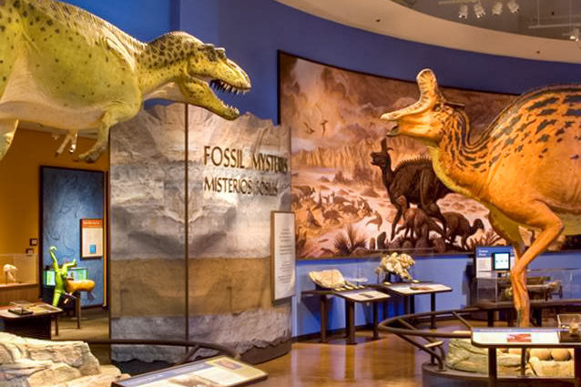 Natural History Museum, San Diego