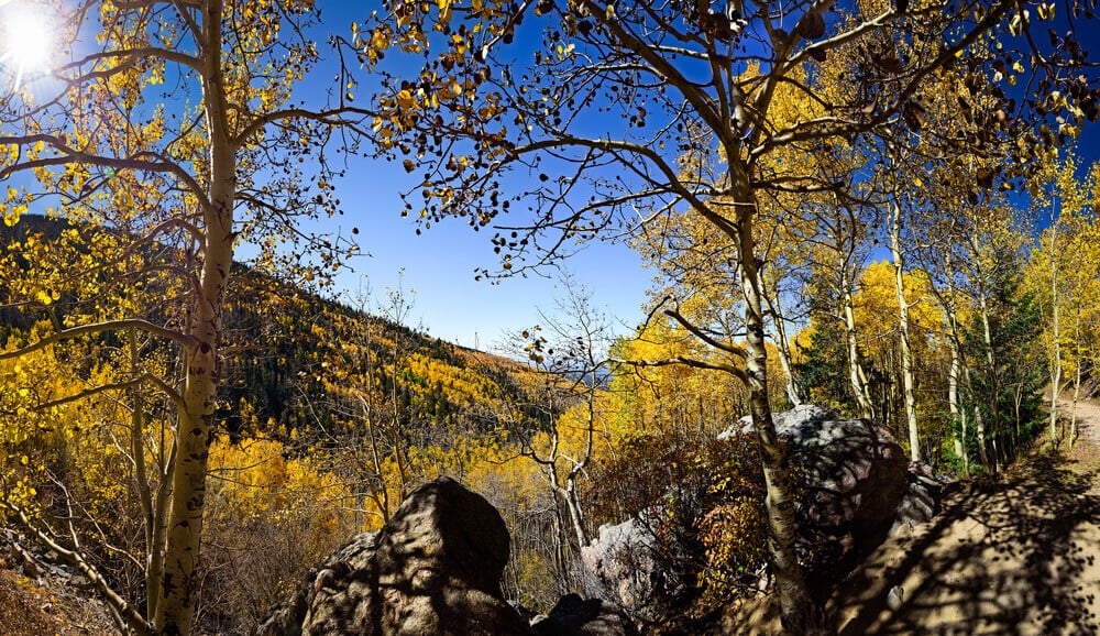 Santa Fe Ski Basin