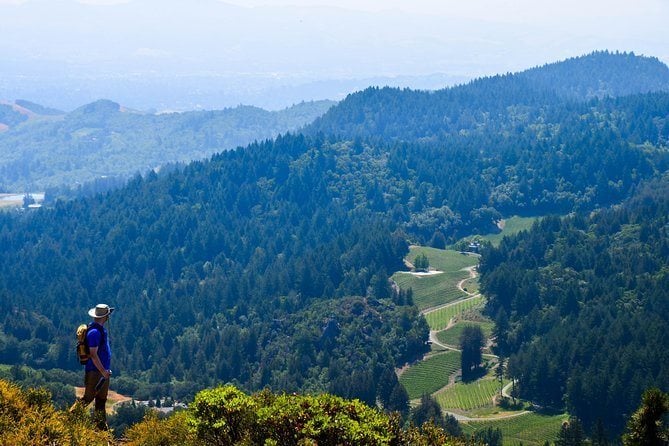 HIking in Napa Valley