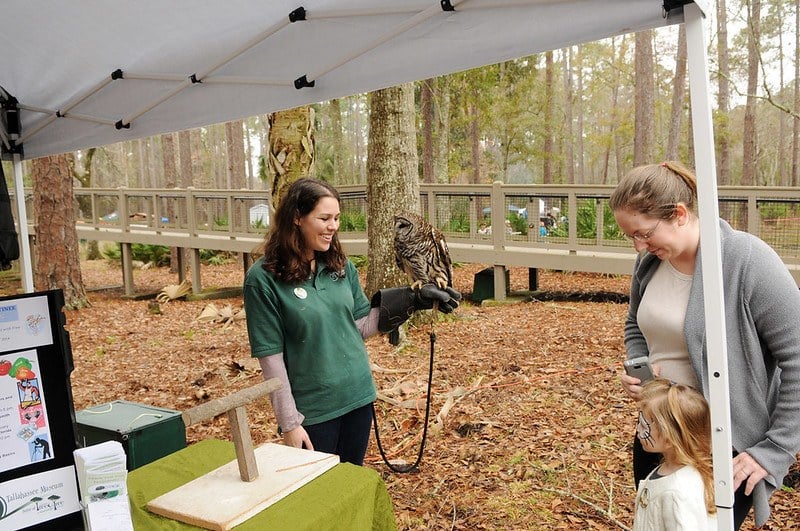 Tallahassee Museum