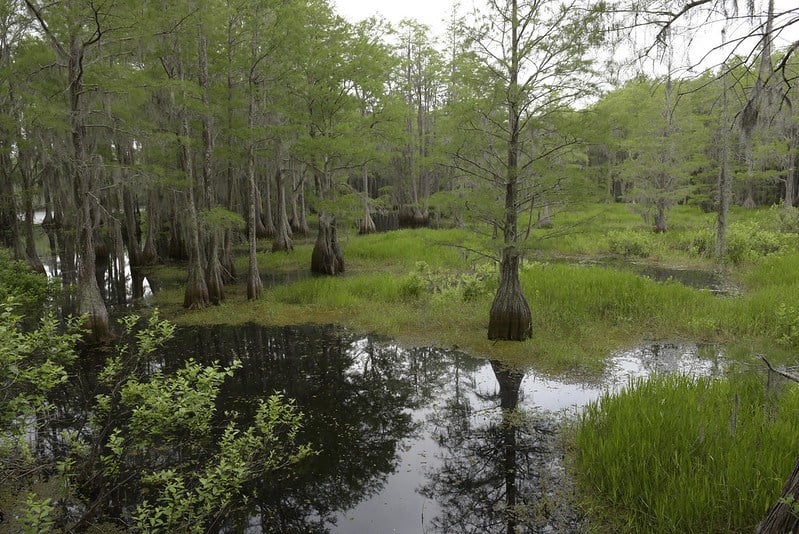 Tallahassee Museum