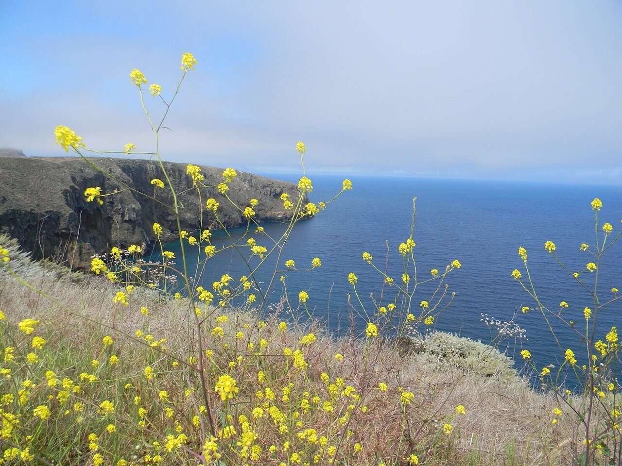 Channel Islands National Park