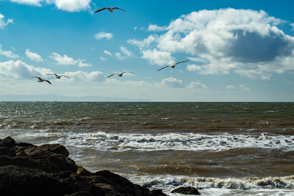 San Buenaventura State Beach