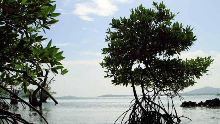 INSIDER LANGKAWI ITINERARY