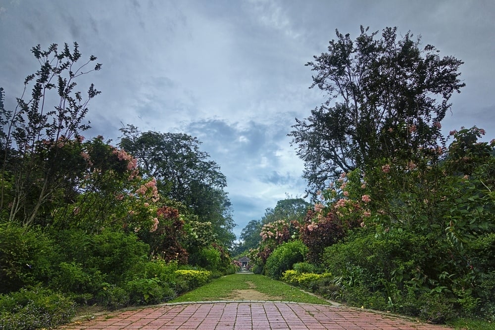 shutterstock - georgetown - taman selamat