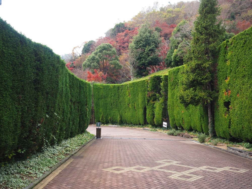 Visit Japan’s Largest Herb Garden