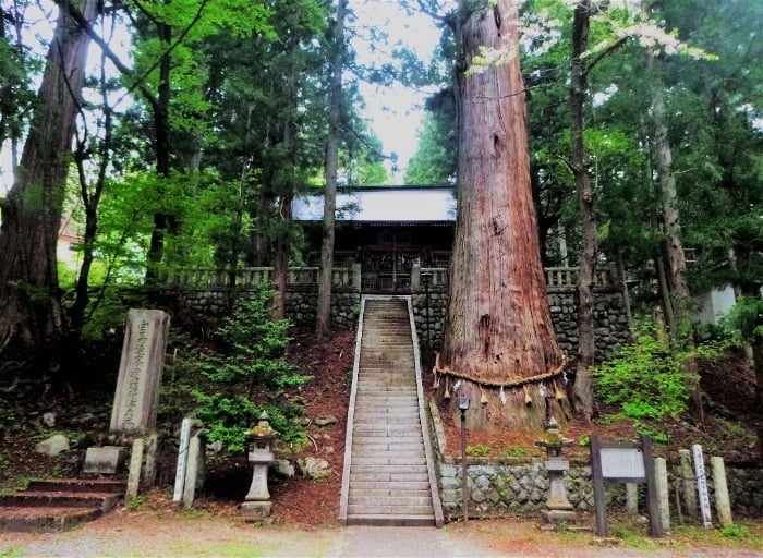 My favourite shrine from my budget travels in Japan