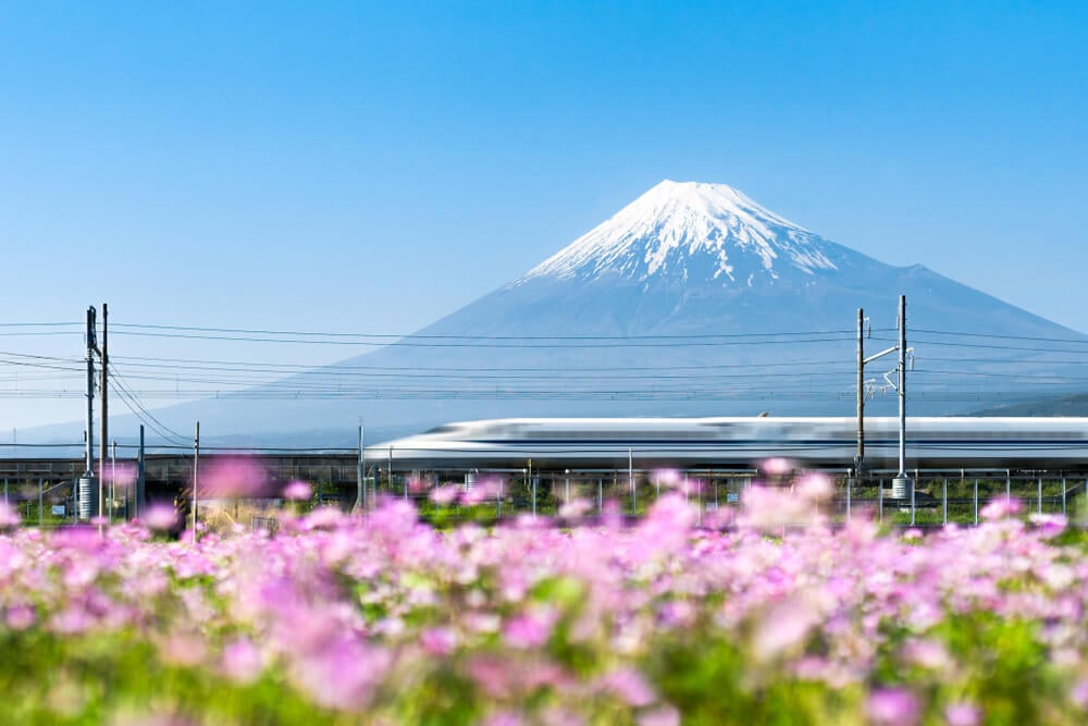 A shinkansen bullet train speeds past Mount Fuji in the background - best public transport in Japan