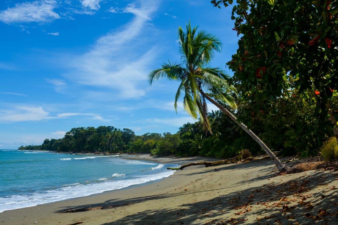 Blue Osa Beach costa rica review