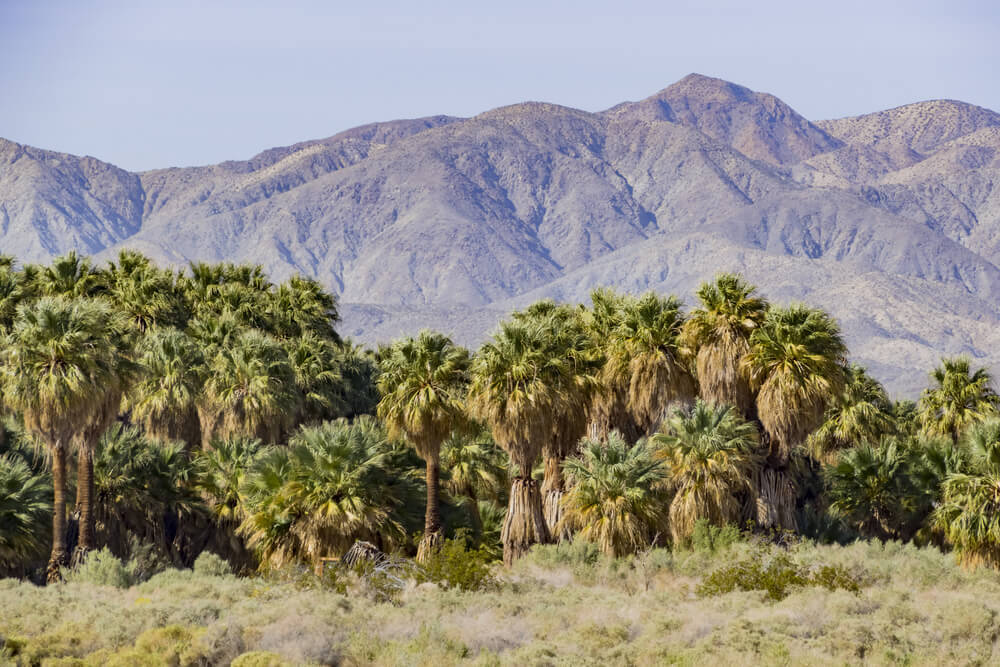 Coachella Valley
