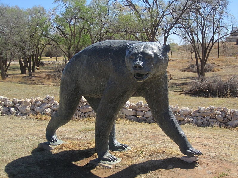 Discover the human history of the Lubbock area