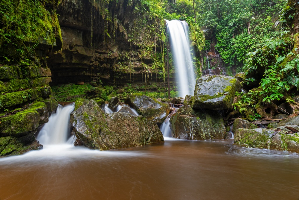 Dongongan Kota Kinabalu