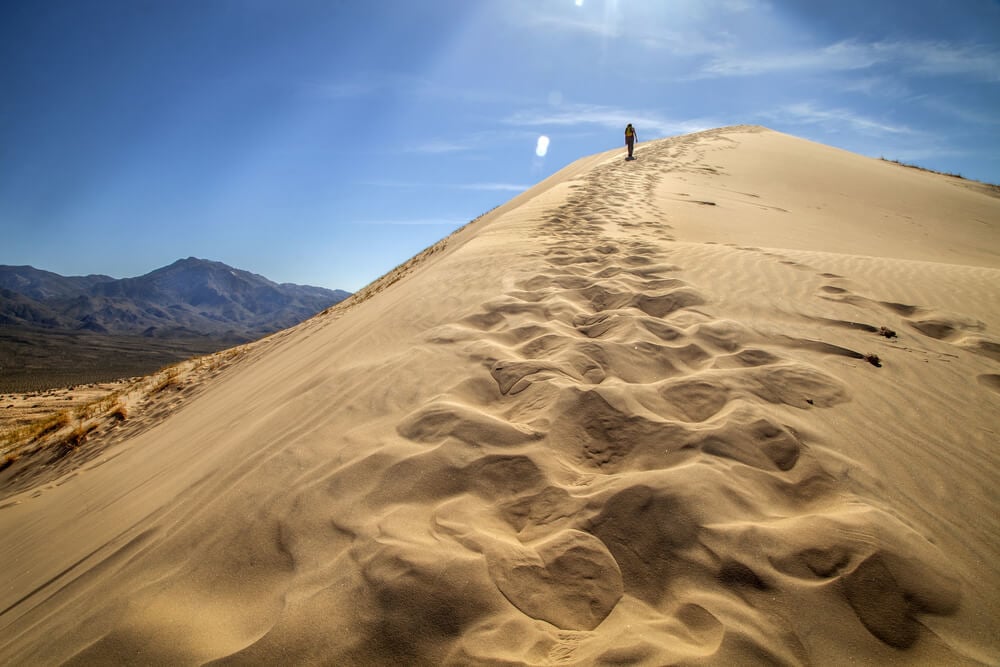 Kelso Dunes