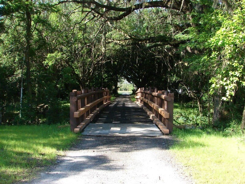 Lower Green Swamp Preserve