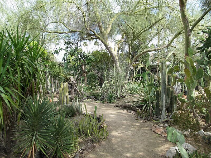 Moorten Botanical