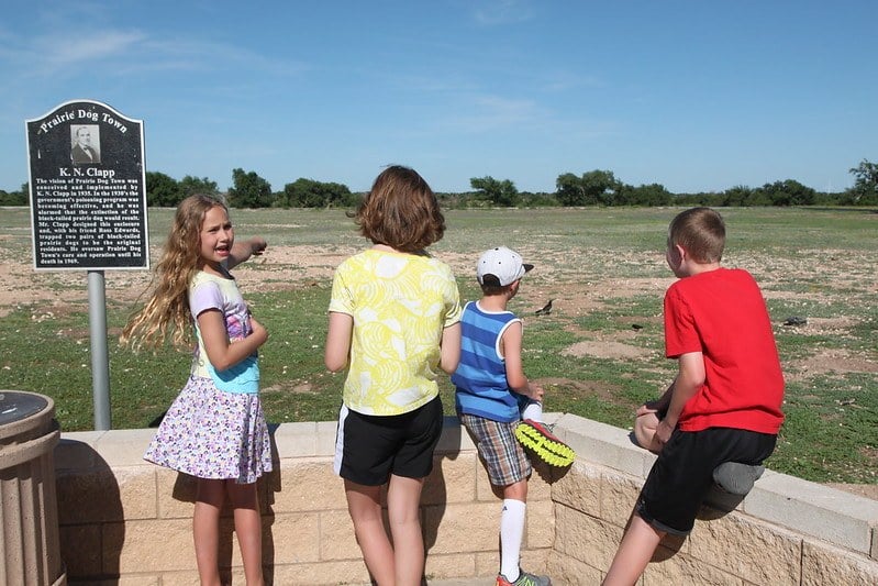 Prairie Dog Town