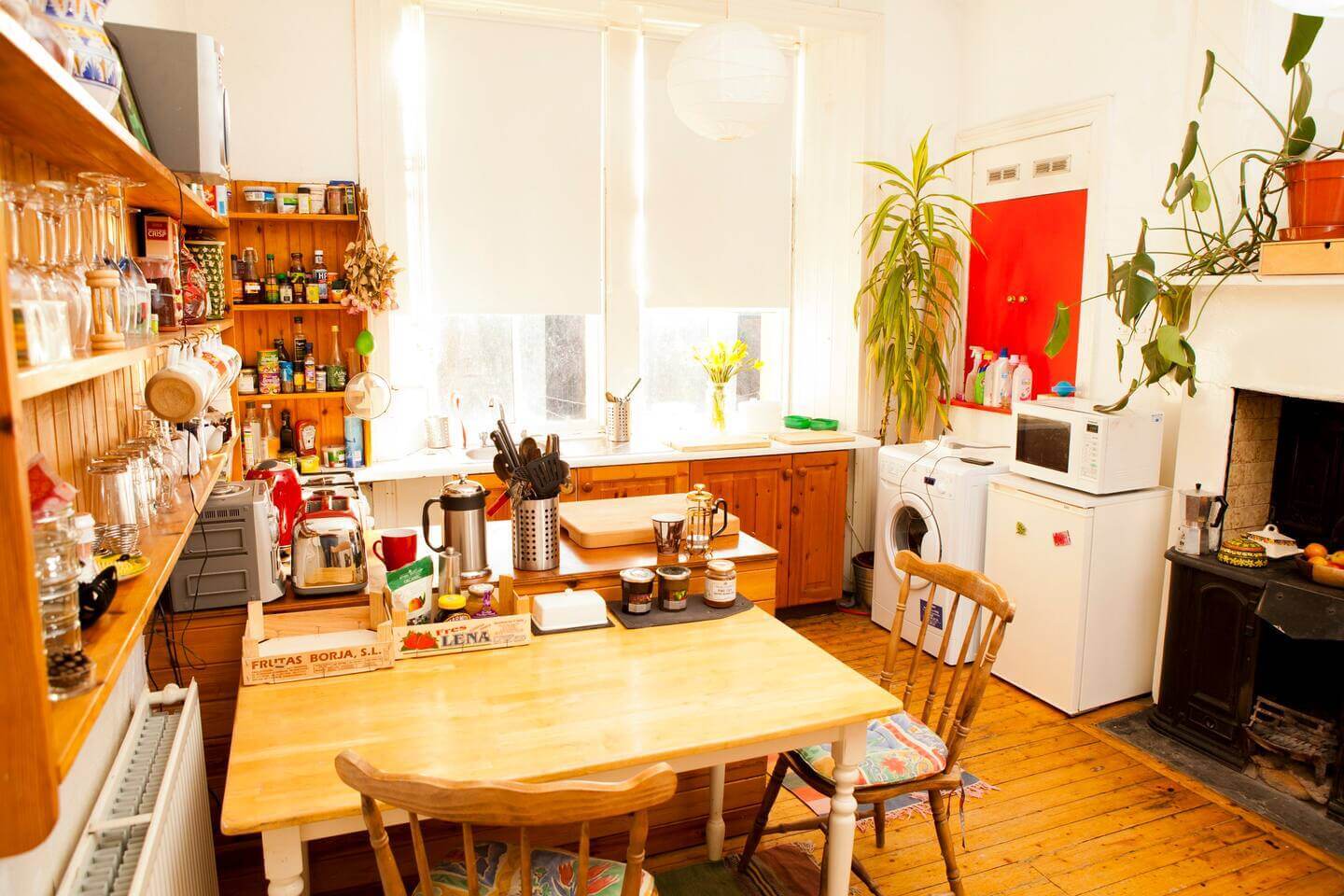 Quirky wee Arthurs Seat apartment