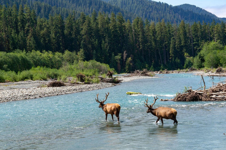 Olympic National Park, Seattle