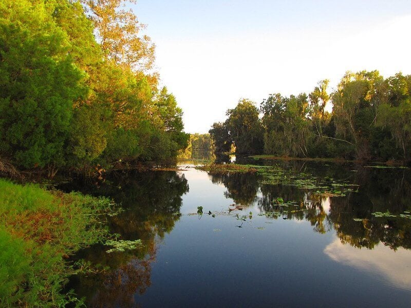 St Johns River