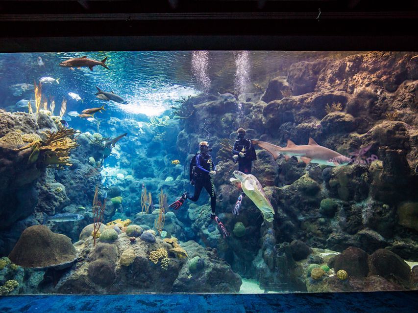 Tampa’s Marine Aquarium