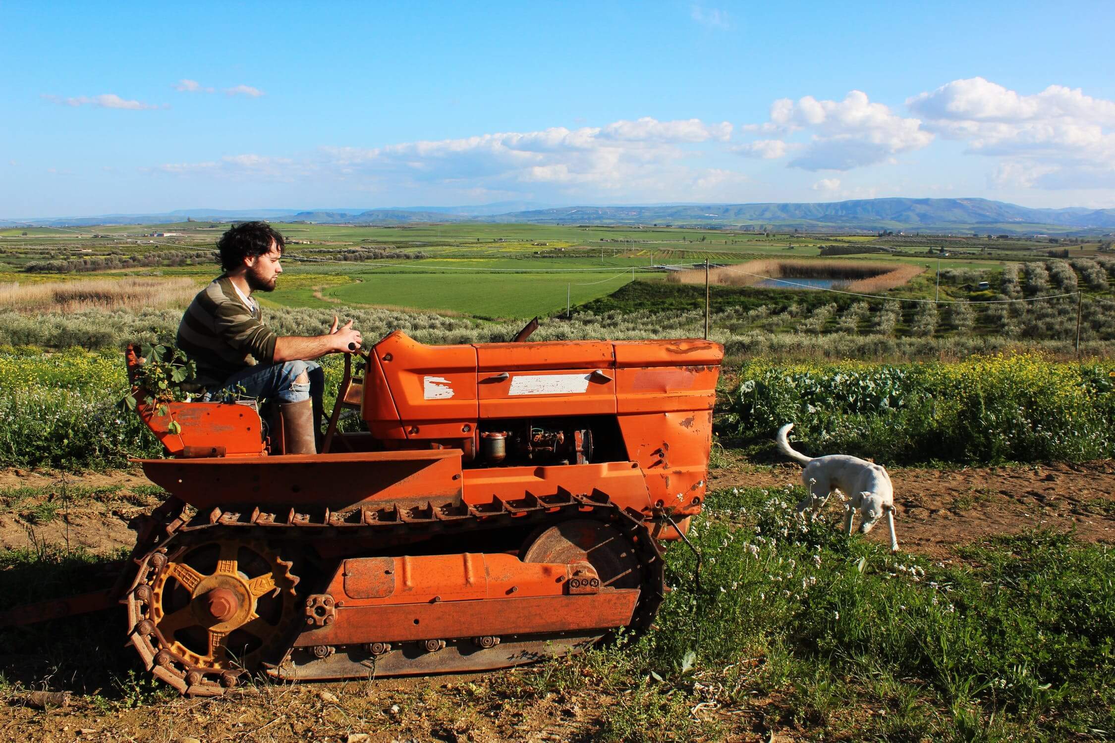 volunteering on the farm workaway