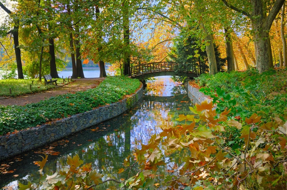 Go for a stroll around Parc de la Tête d'Or