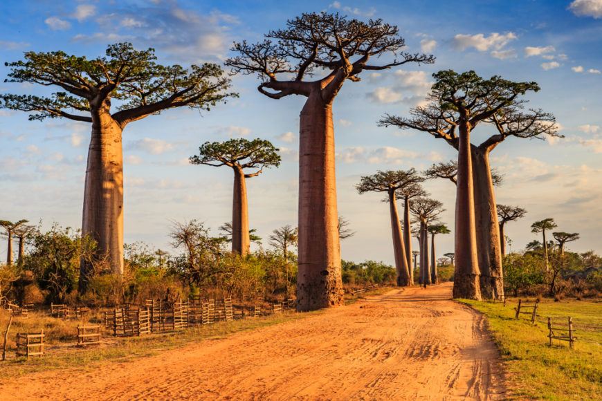 is madagascar safe for solo travel