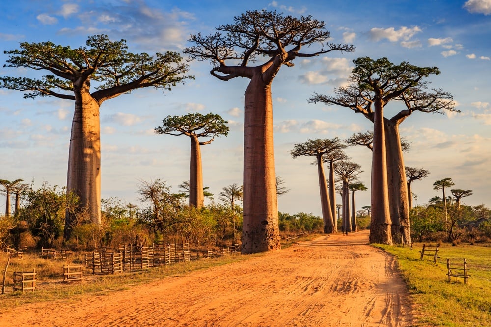 Madagascar Budget Travel Guide (Updated 2024)