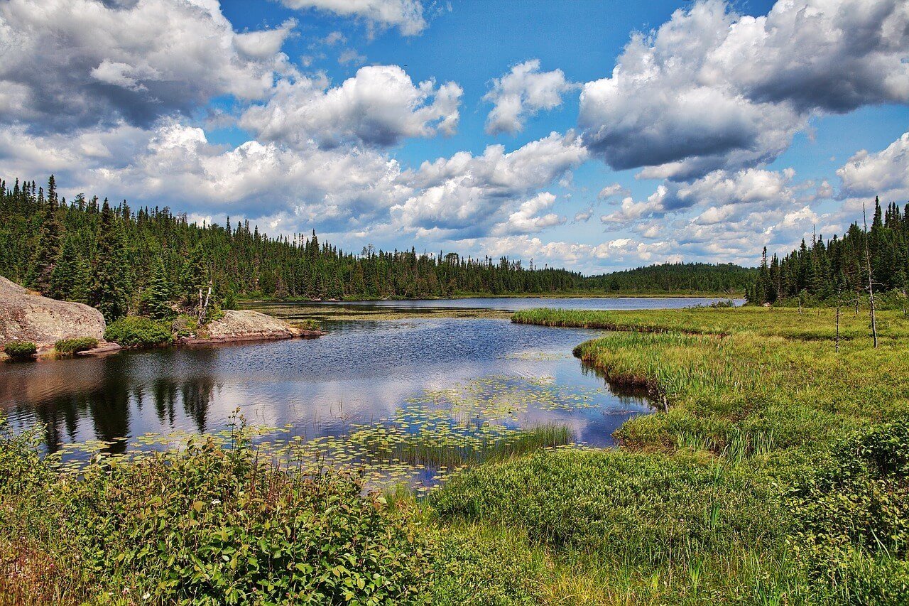 Algonquin Park