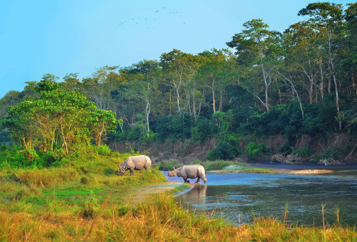 Chitwan National Park Kathmandu