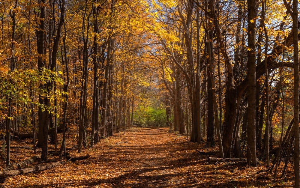 Highbanks Metro Park