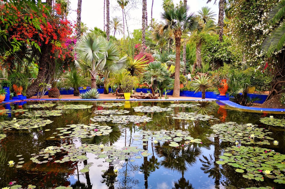 Jardin Majorelle