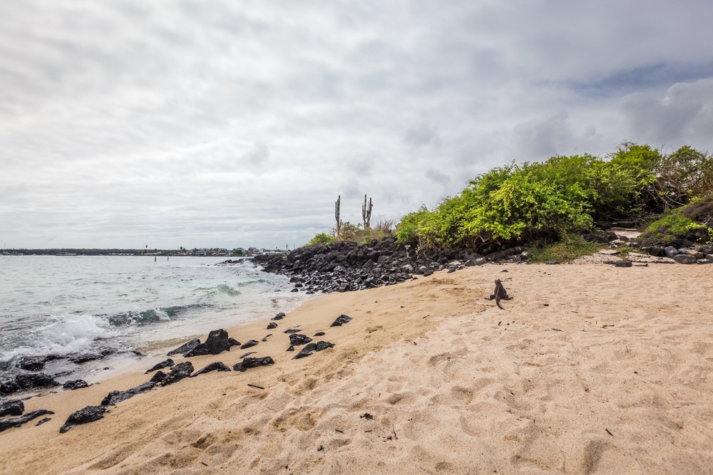 San Cristobal Galapagos